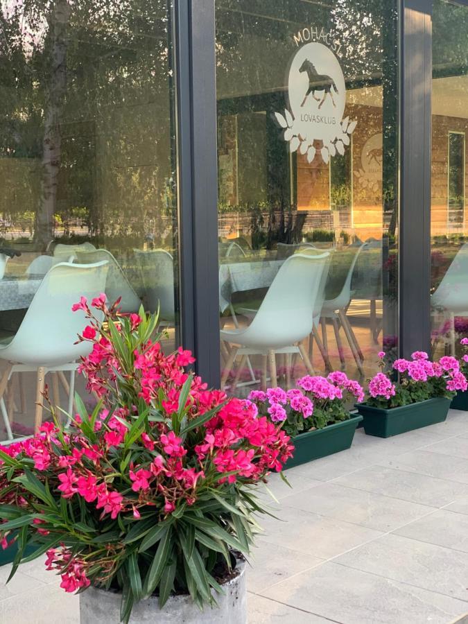 Mohacsi Wellness Vendeghaz Es Lovasklub Ξενοδοχείο Εξωτερικό φωτογραφία