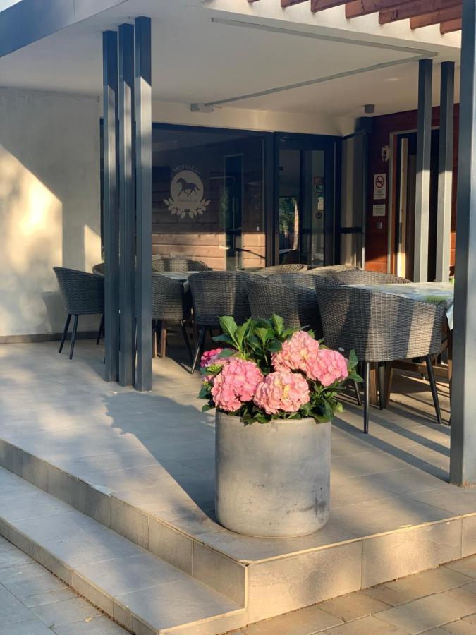 Mohacsi Wellness Vendeghaz Es Lovasklub Ξενοδοχείο Εξωτερικό φωτογραφία